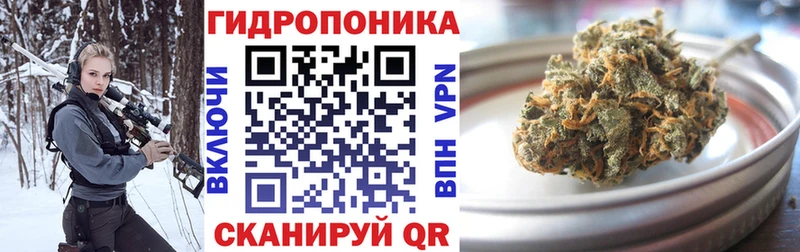 Купить закладки  Гатчина  Бошки Шишки сатива 